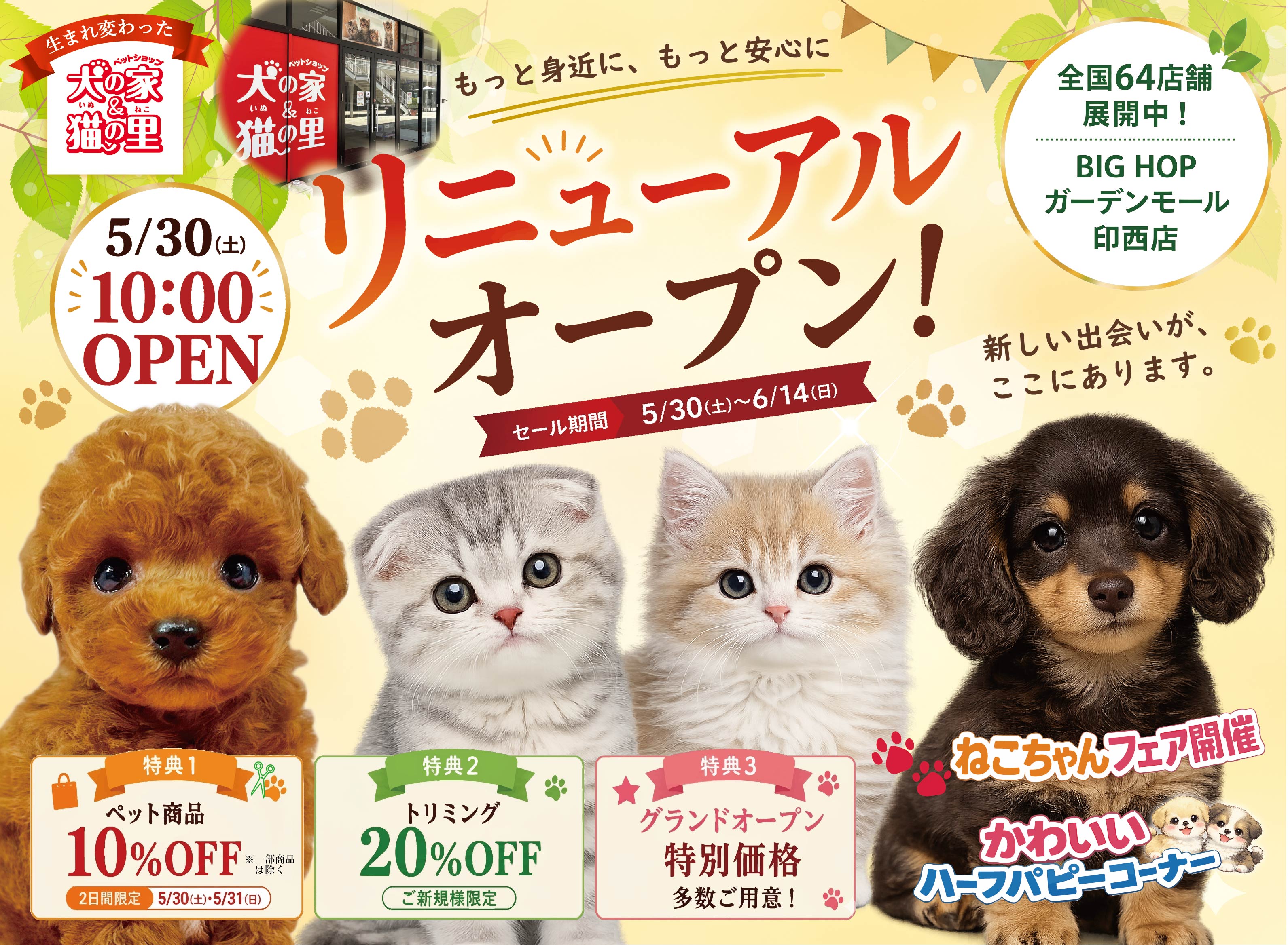 最新オープン情報【印西店リニューアルオープン🎵】 | ペットショップ